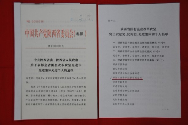 2009年2月，，被陕西省委、省政府授予陕西省国有企业刷新攻坚先进整体