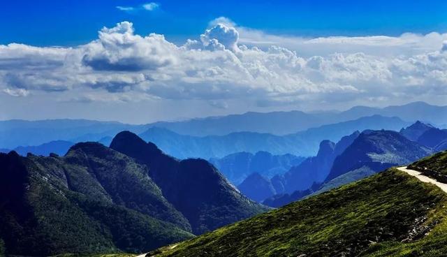 【情形；；；ぁで亓胛ソā壳亓胛ソū鹗:总书记扭住不放才得以彻底整治